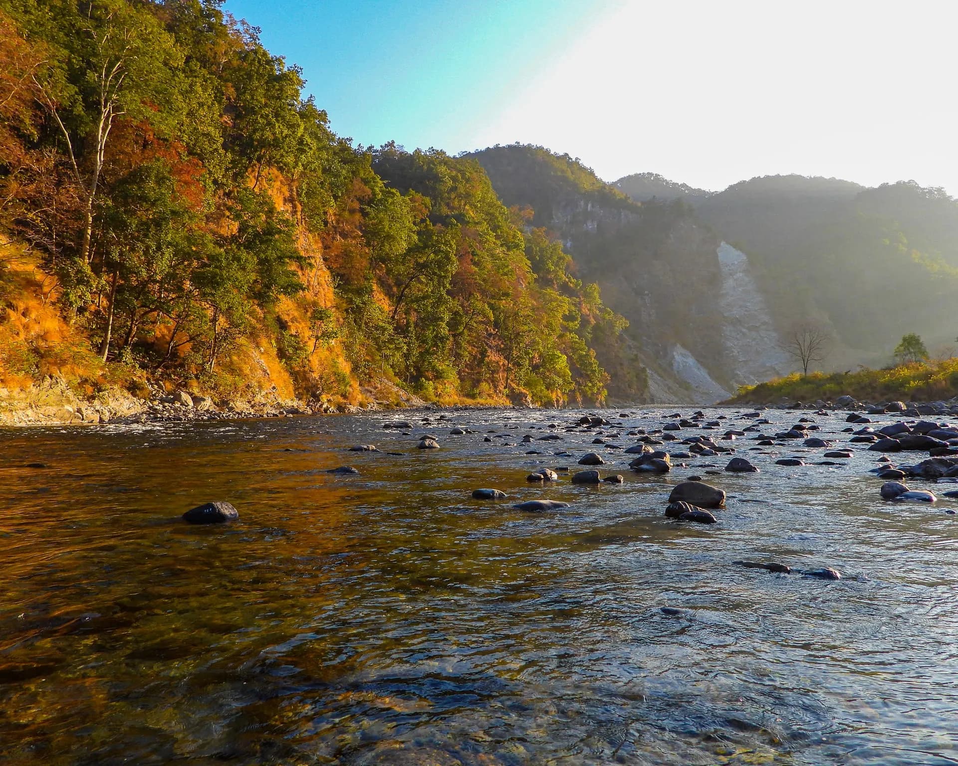 Beyond Jim Corbett