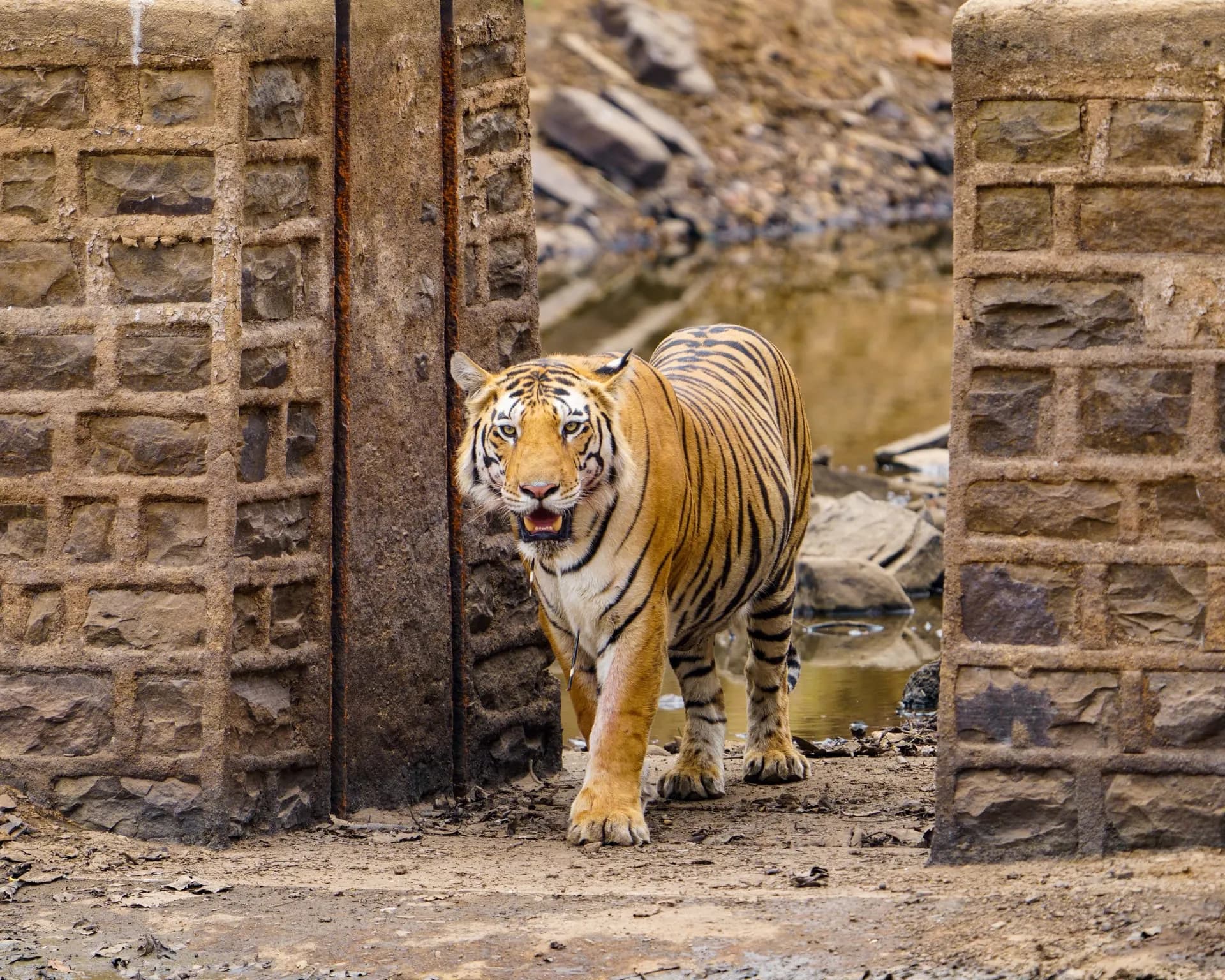 Panna National Park