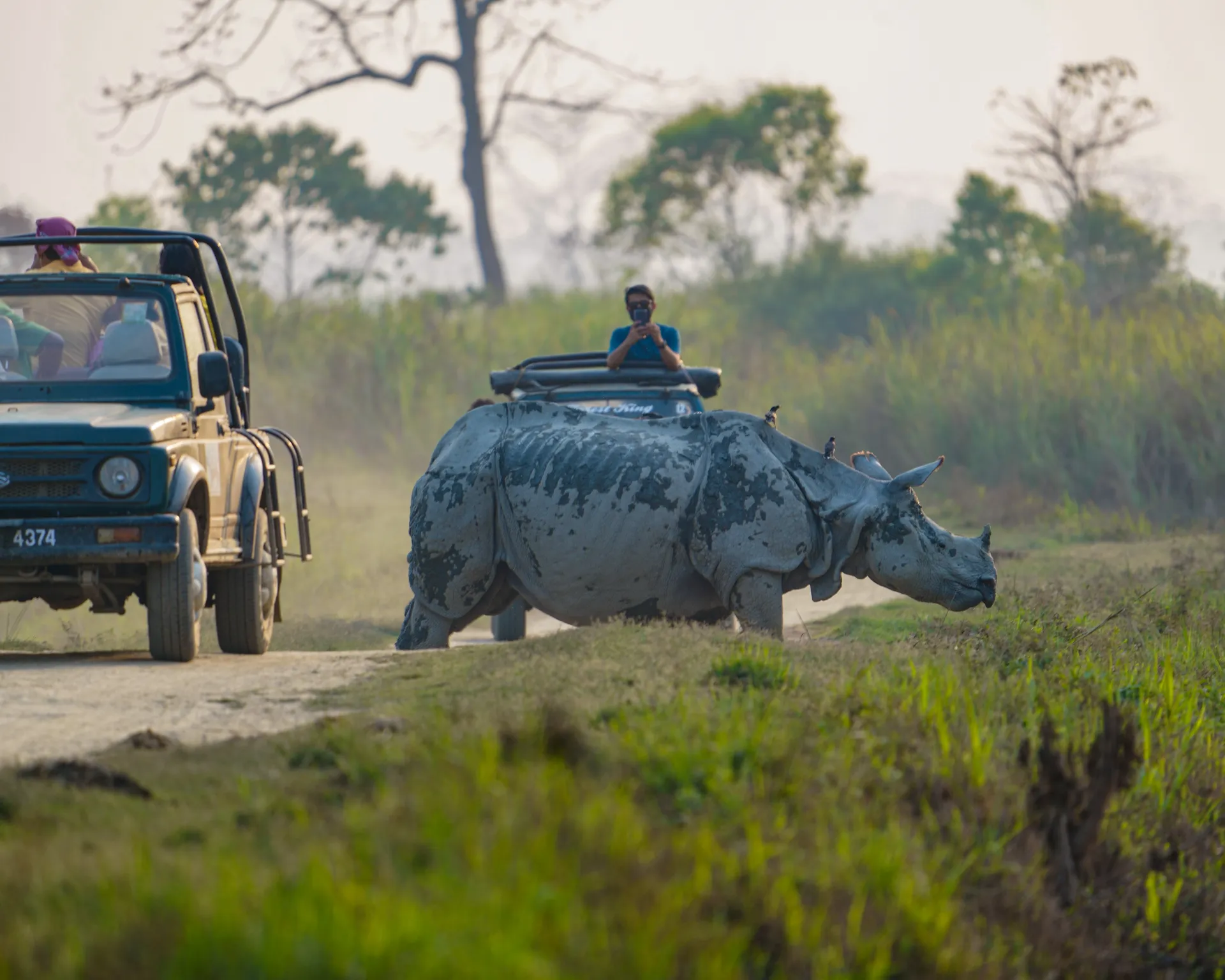 Kaziranga National Park