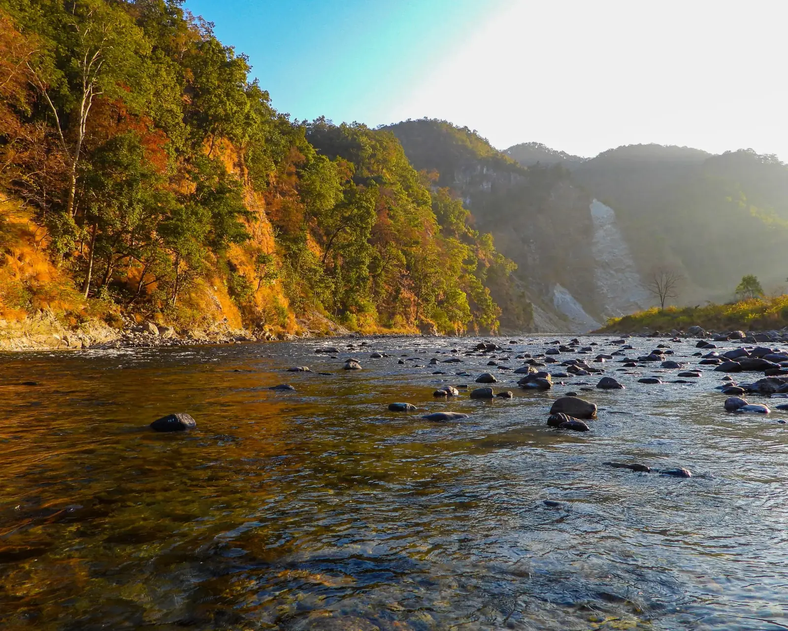 Beyond Jim Corbett