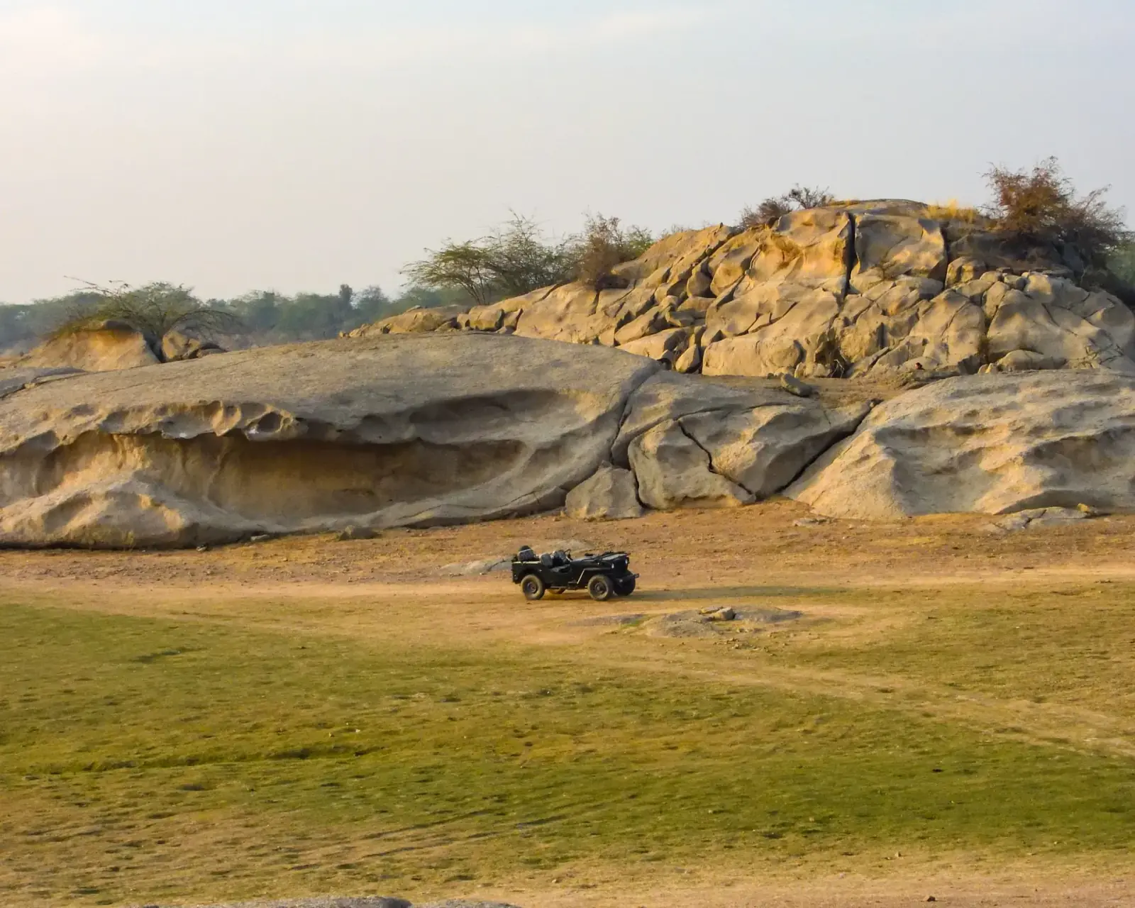 Safari through the hills