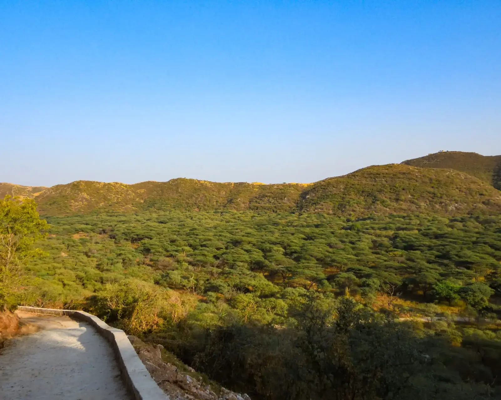 The reserve at dawn