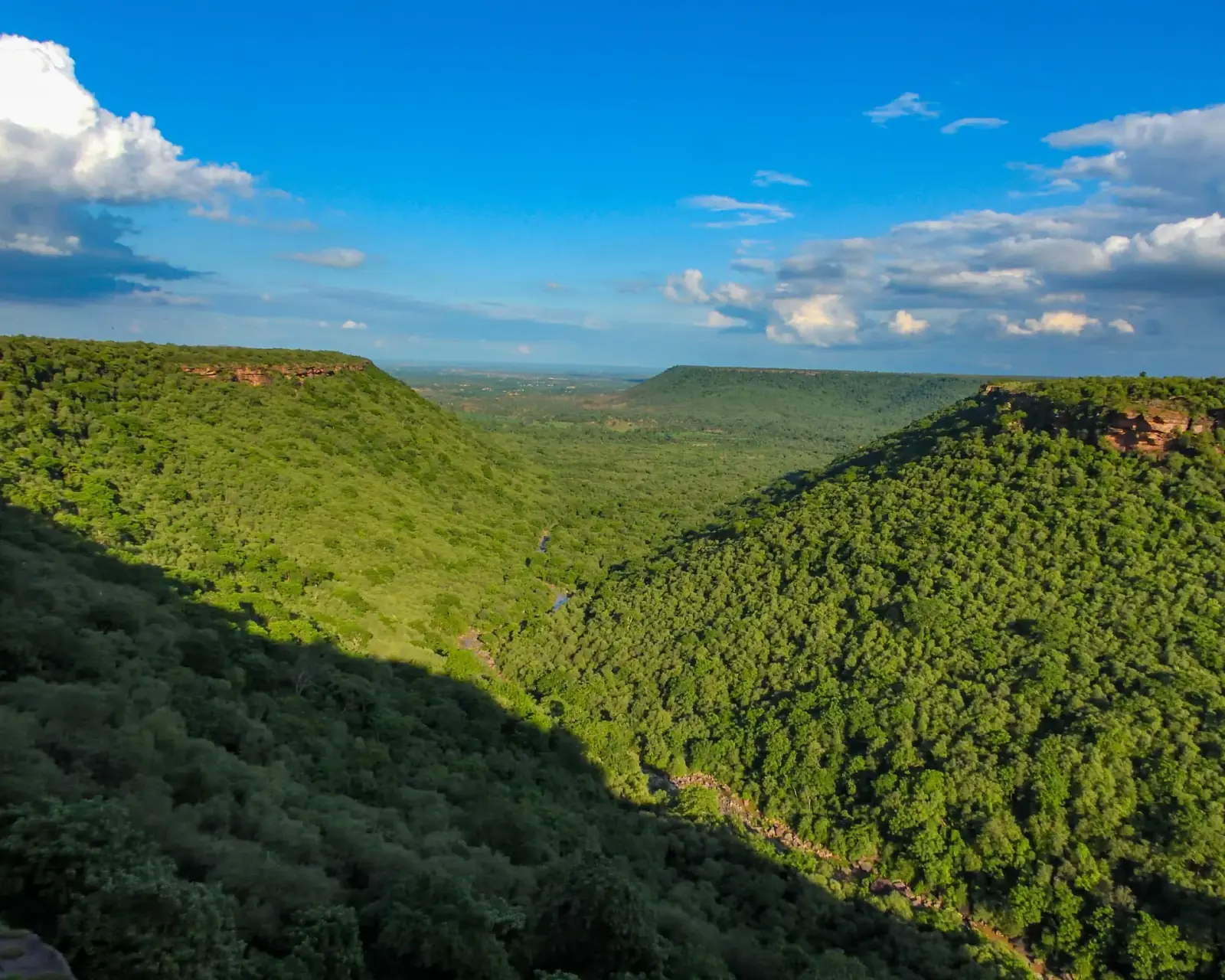 The plateau