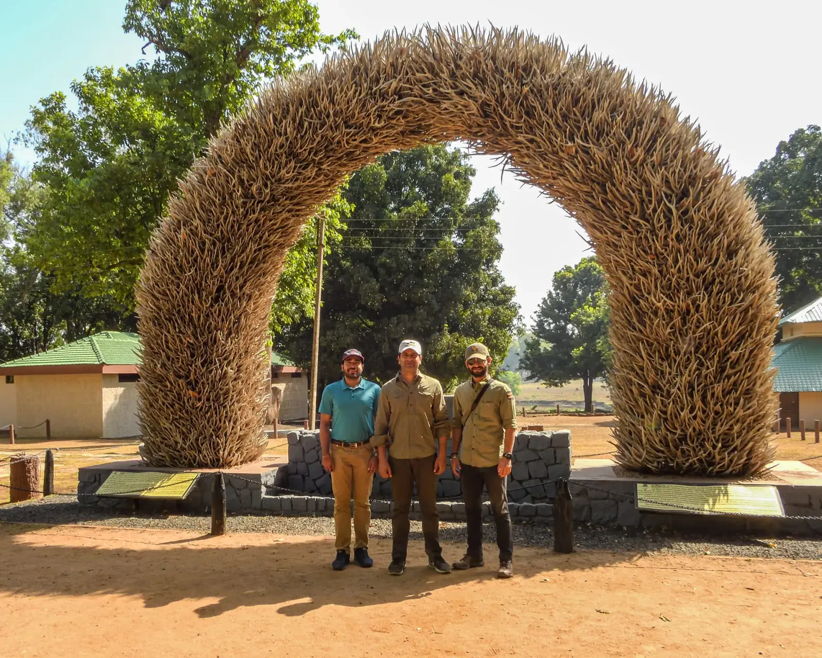 Antlers at the gate