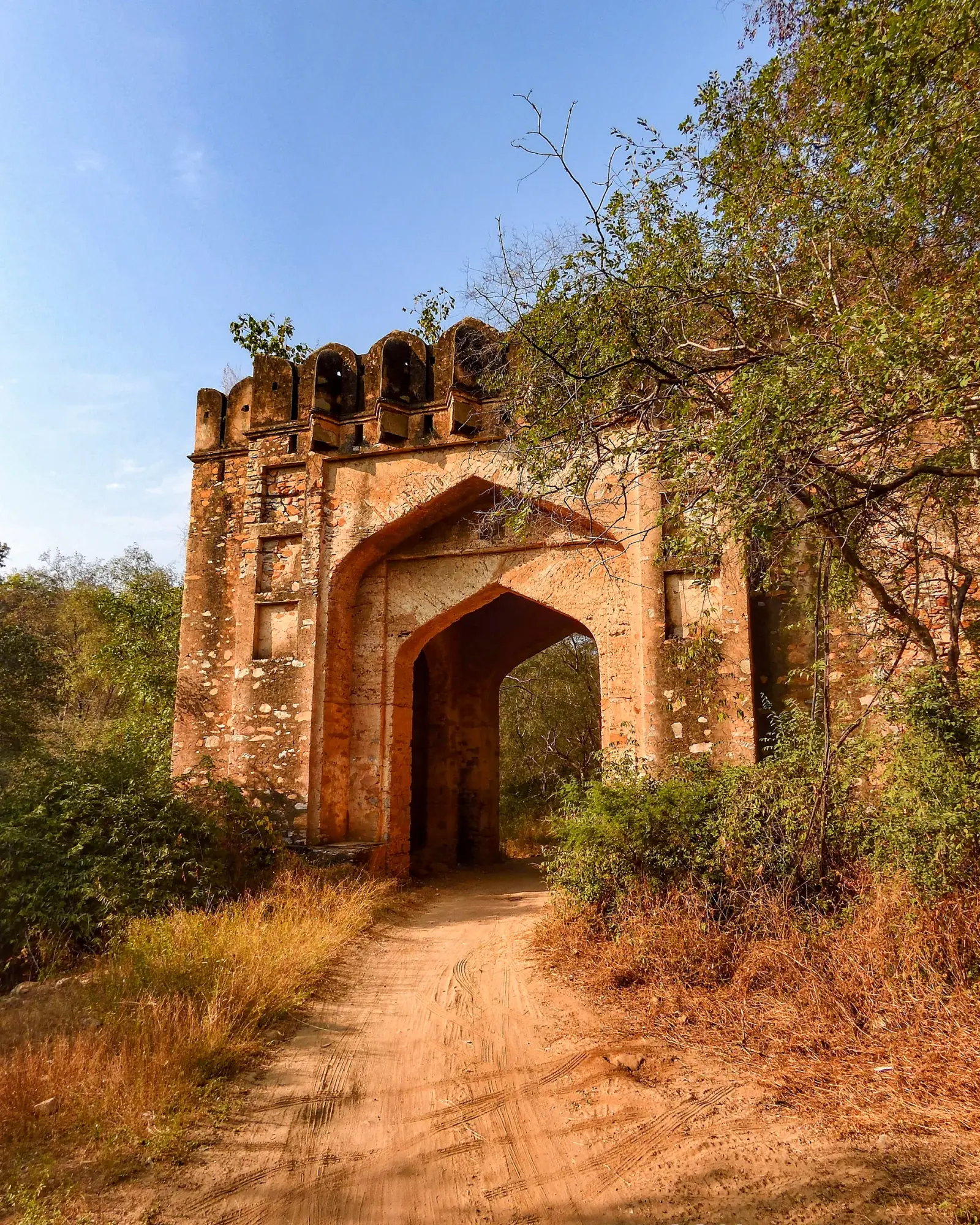 Kankwari fort