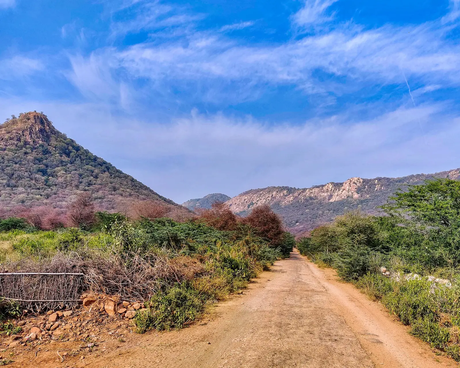 A weekend in the Aravallis