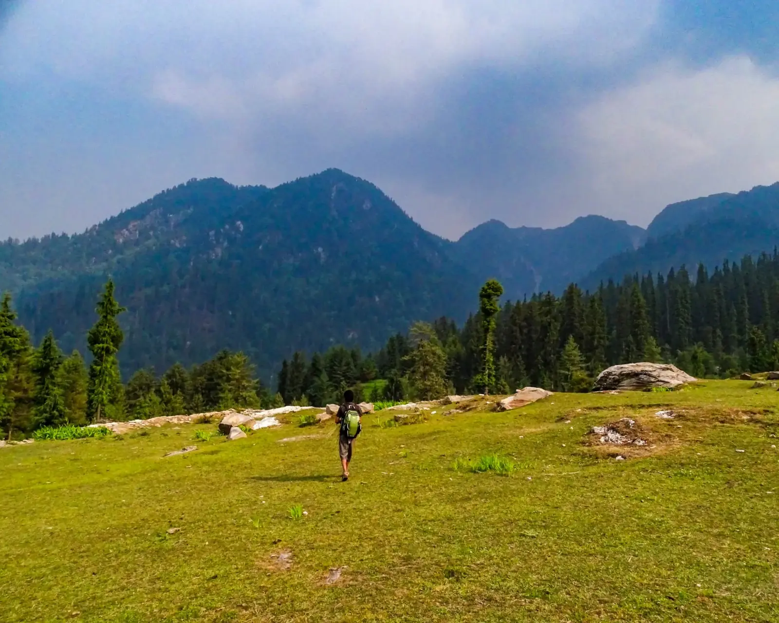 High meadows
