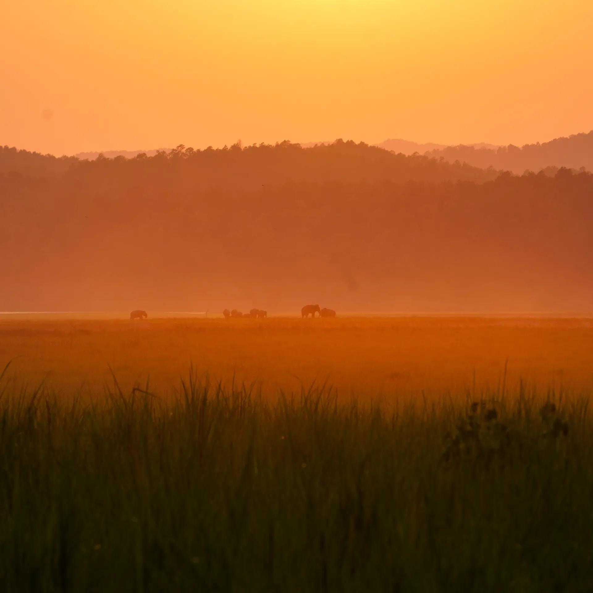 Golden light at dusk