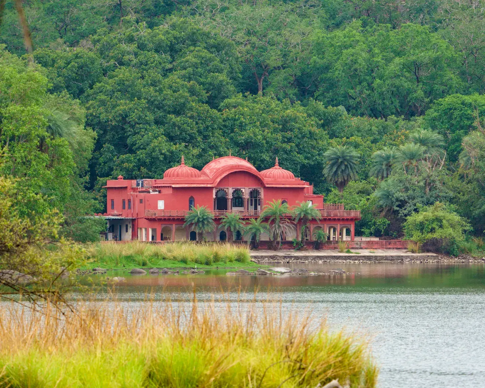 Jogi Mahal, the iconic forest rest house in Zone 3